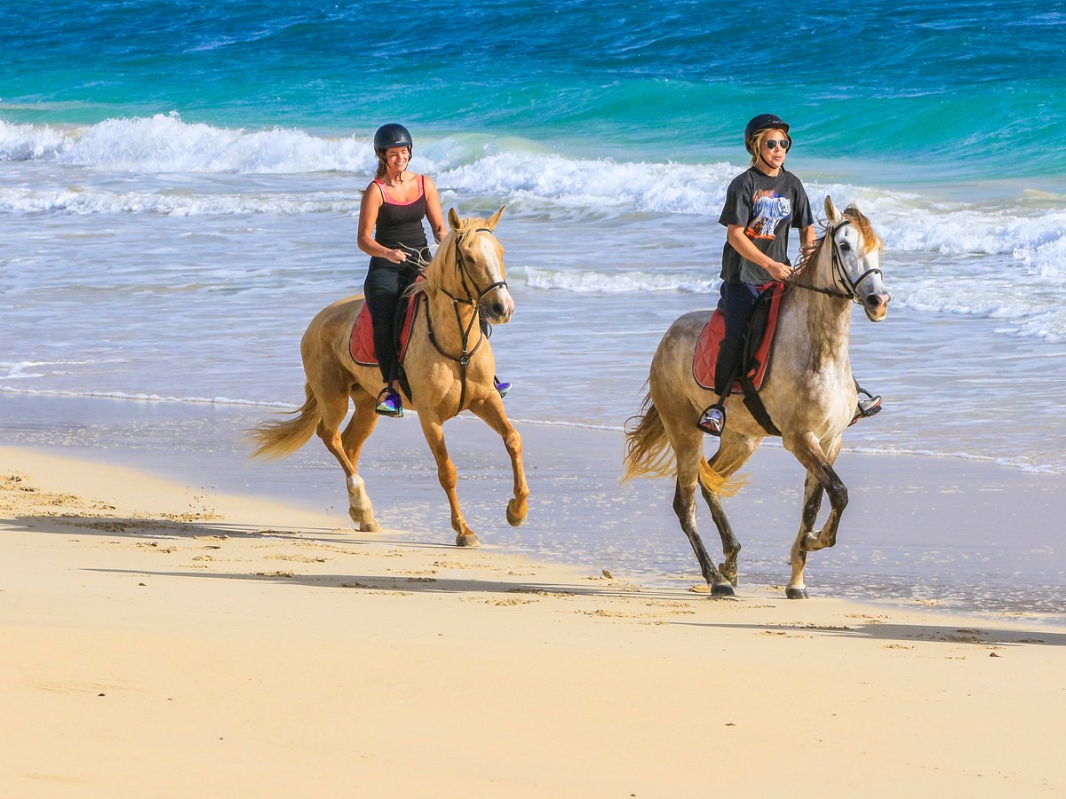 Pferde, Natur & Ausritte: Reiten in Nordzypern erleben